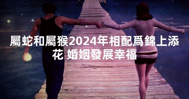 屬蛇和屬猴2024年相配爲錦上添花 婚姻發展幸福